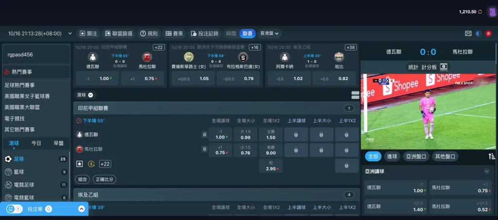 WE 體育使用介面